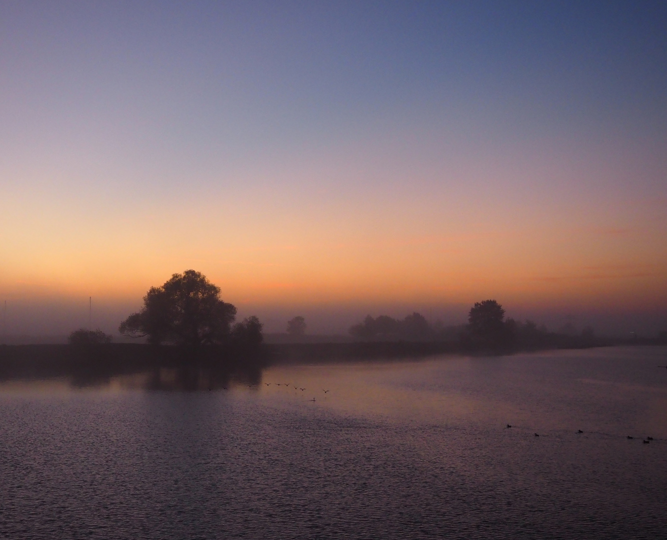 frühmorgens