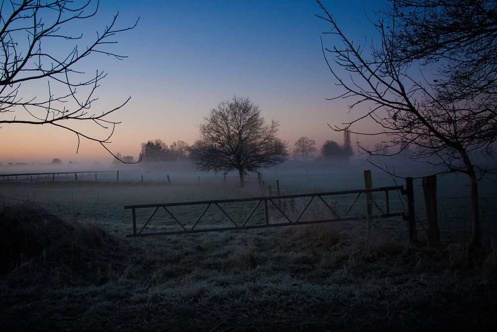 Frühmorgens