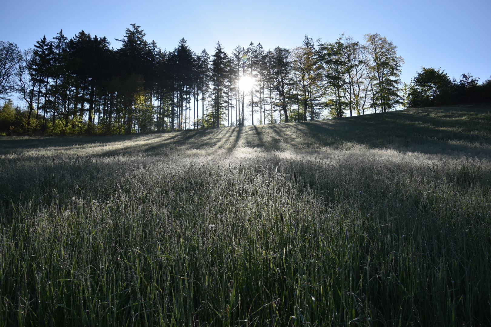 Frühmorgens