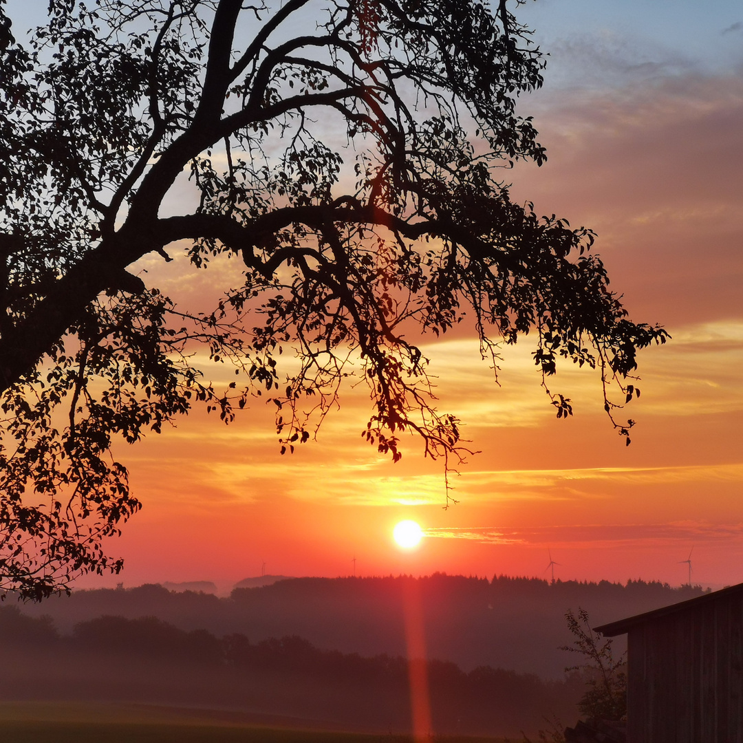 Frühmorgens