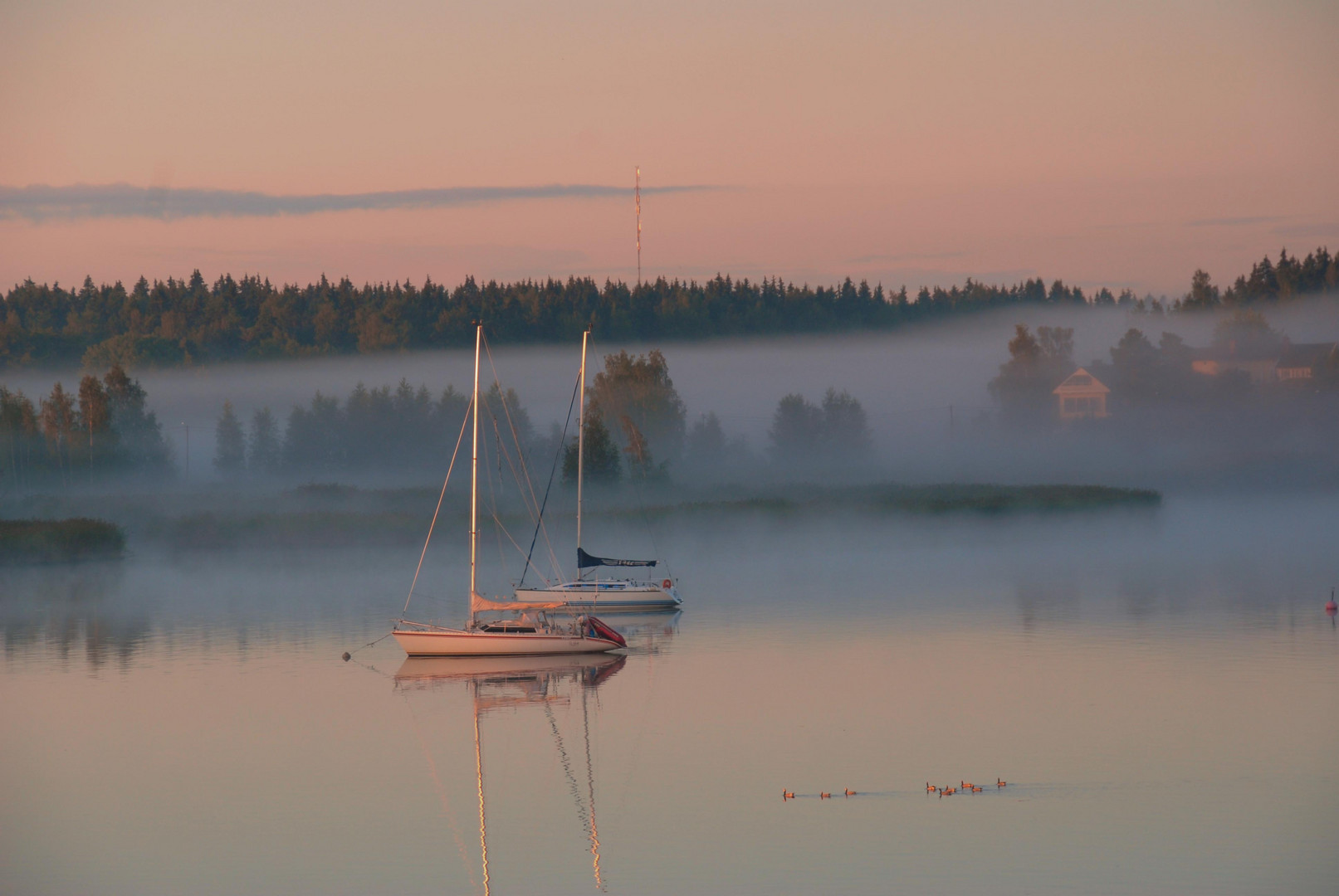 Frühmorgens