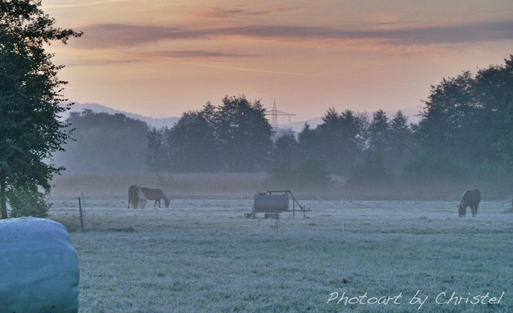 Frühmorgens