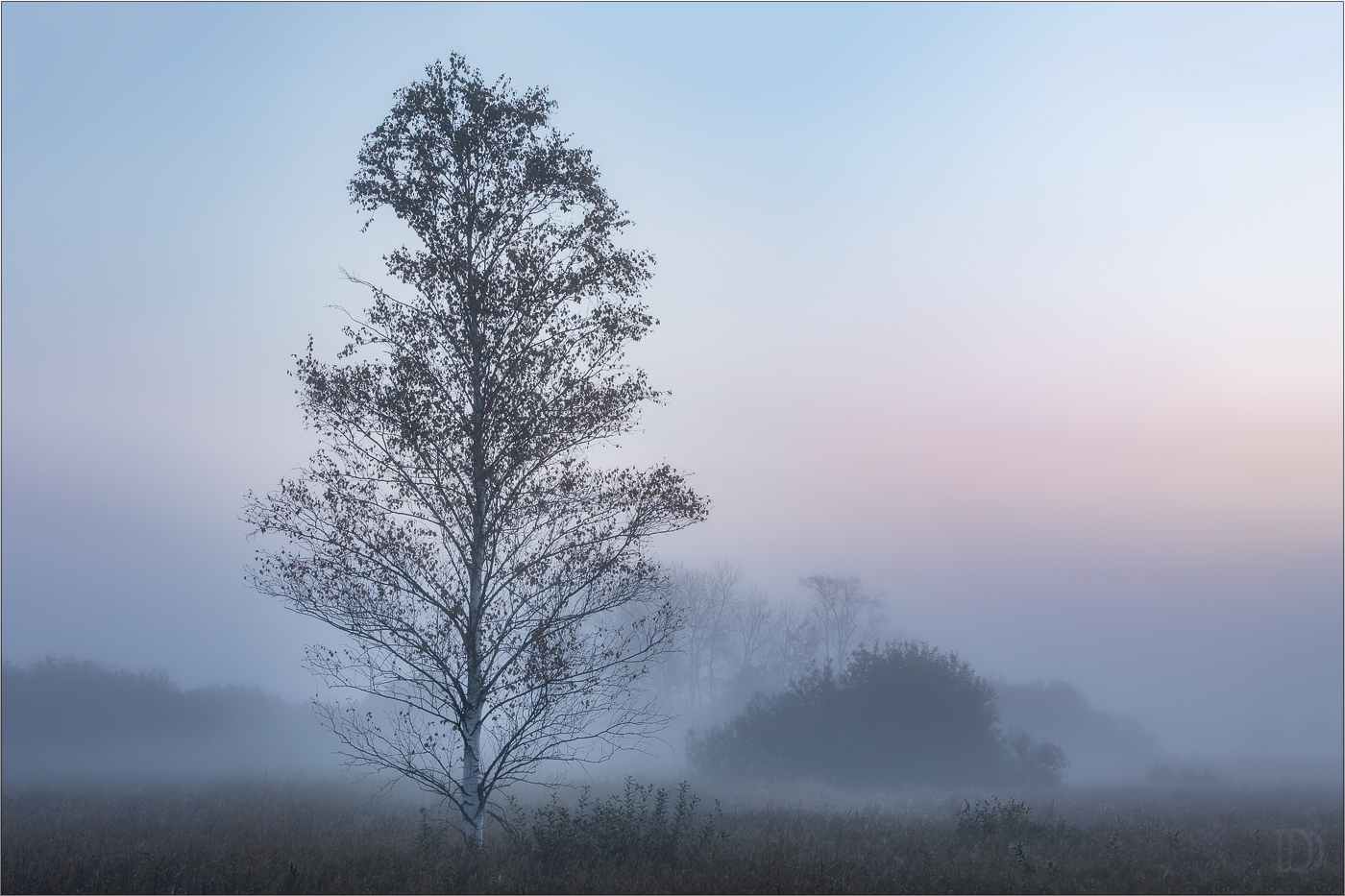 frühmorgens