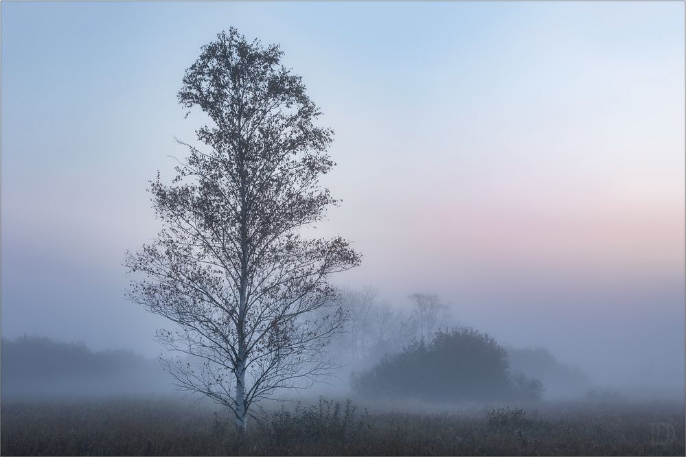 frühmorgens