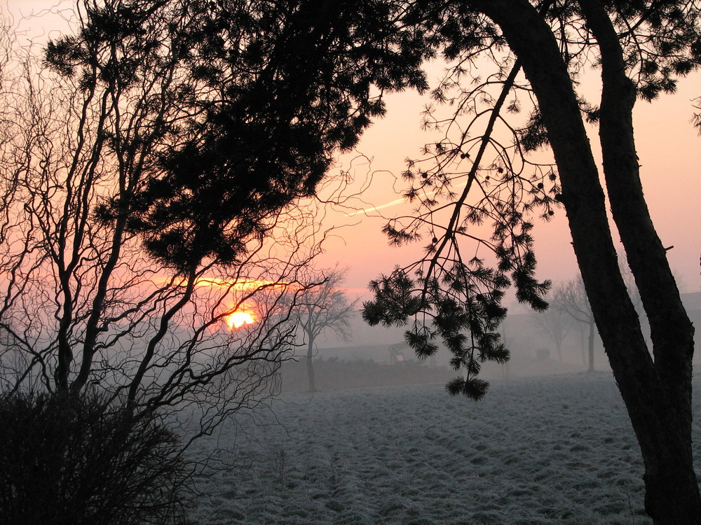 Frühmorgens