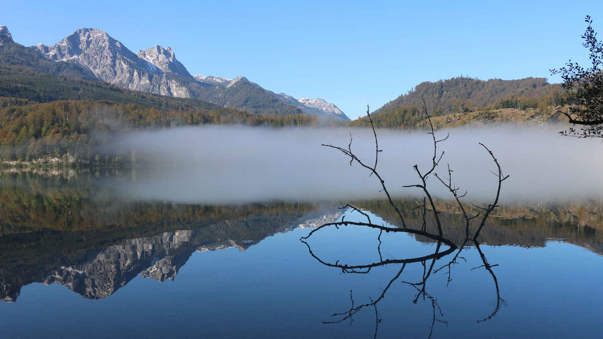 Frühmorgens am Almsee