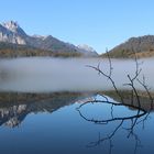 Frühmorgens am Almsee