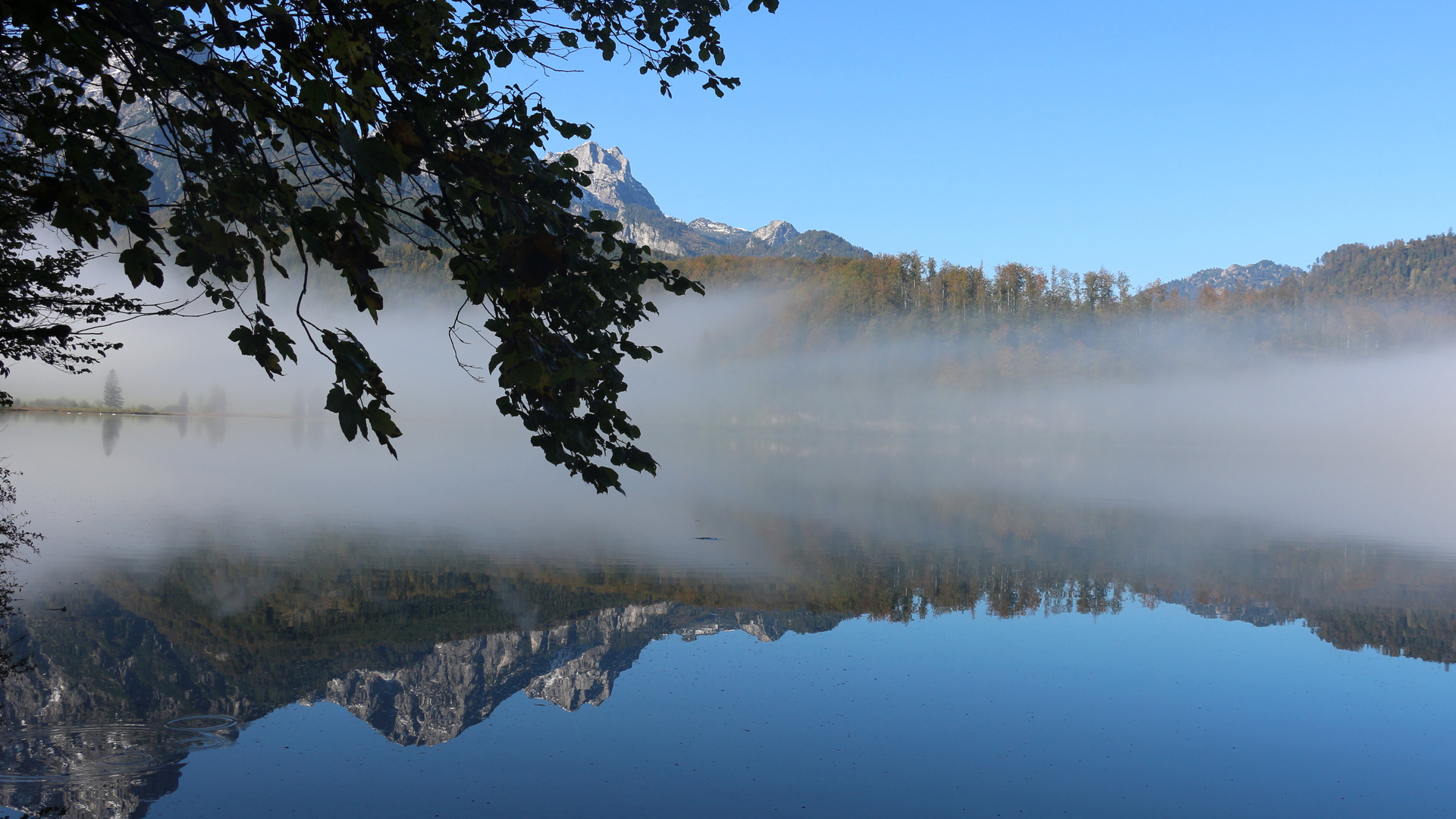 Frühmorgens am Almsee