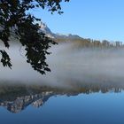 Frühmorgens am Almsee