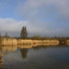 Frühmorgens am Baggersee