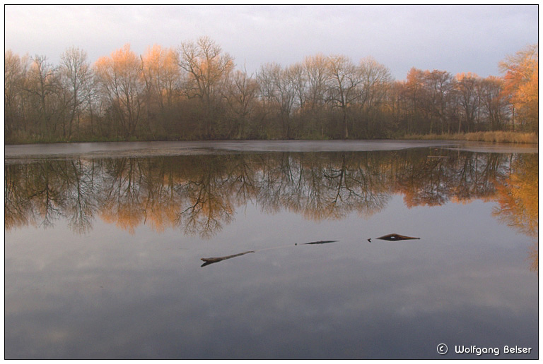 Frühmorgens am Erlachsee