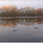 Frühmorgens am Erlachsee