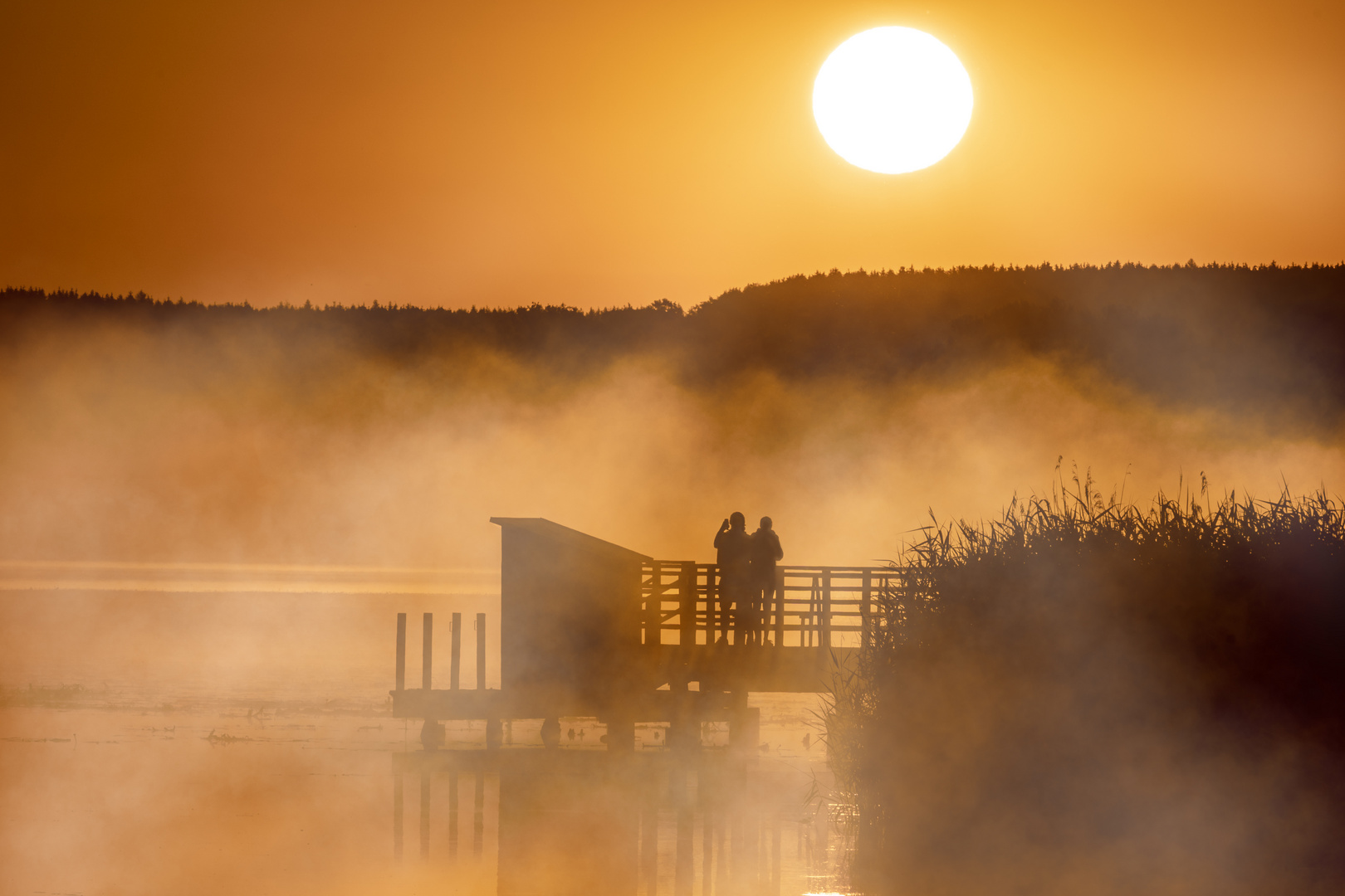 frühmorgens am Federsee