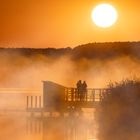 frühmorgens am Federsee