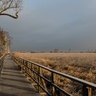 Frühmorgens am Federsee