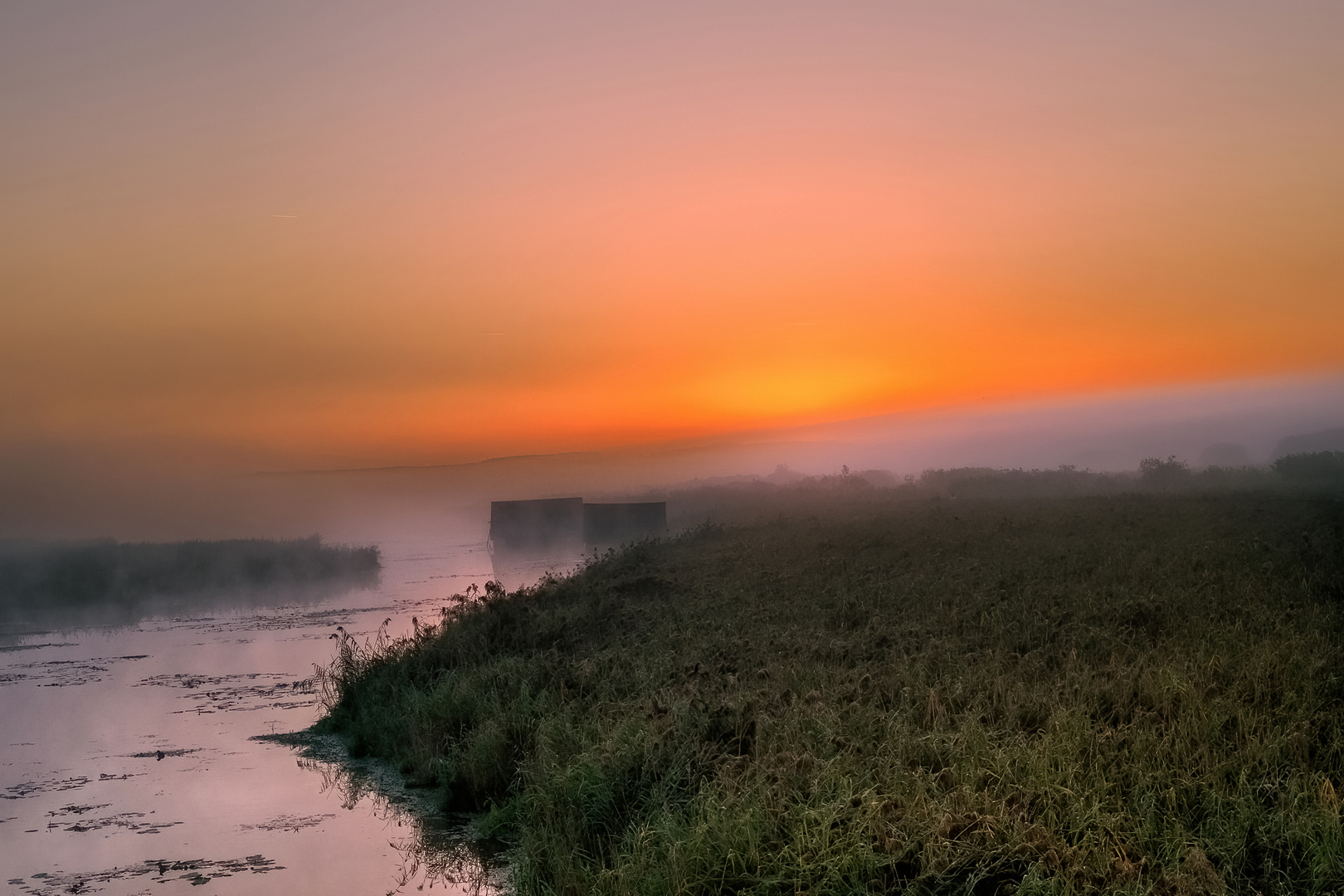 Frühmorgens am Federsee...