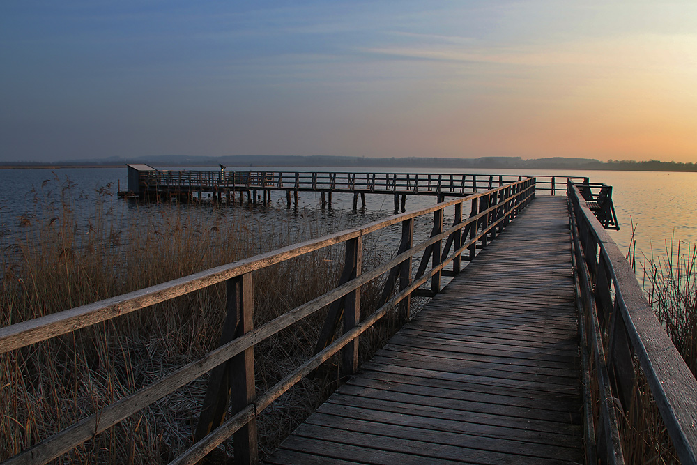 frühmorgens am Federsee