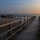 frühmorgens am Federsee