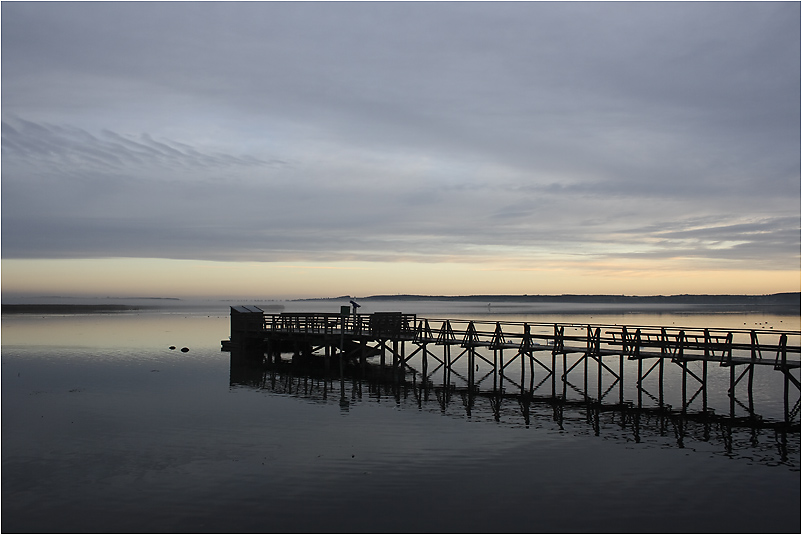 frühmorgens am Federsee