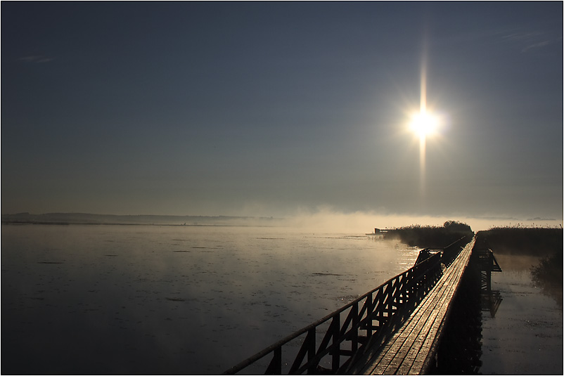 frühmorgens am Federsee