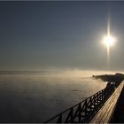 frühmorgens am Federsee