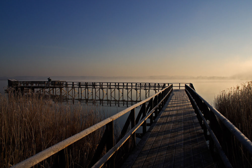 frühmorgens am Federsee