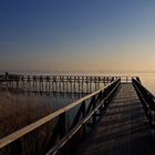 frühmorgens am Federsee