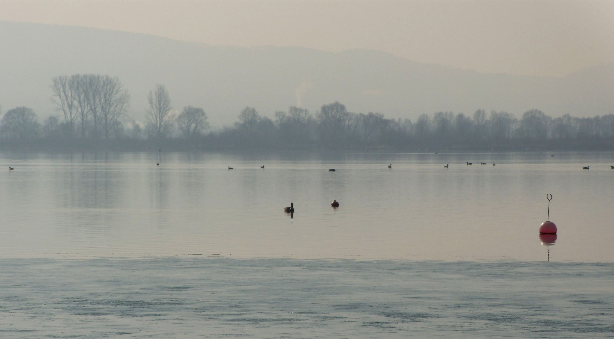 Frühmorgens am Freizeitsee.