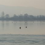 Frühmorgens am Freizeitsee.