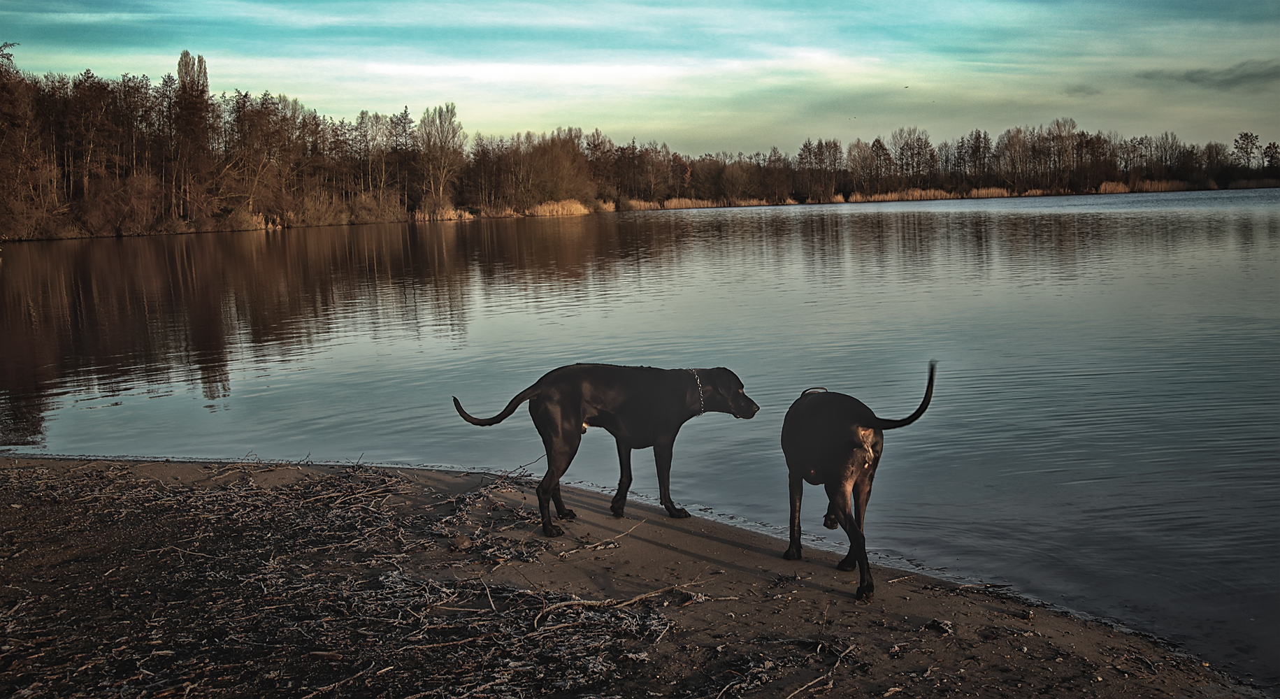 Frühmorgens am Friller See