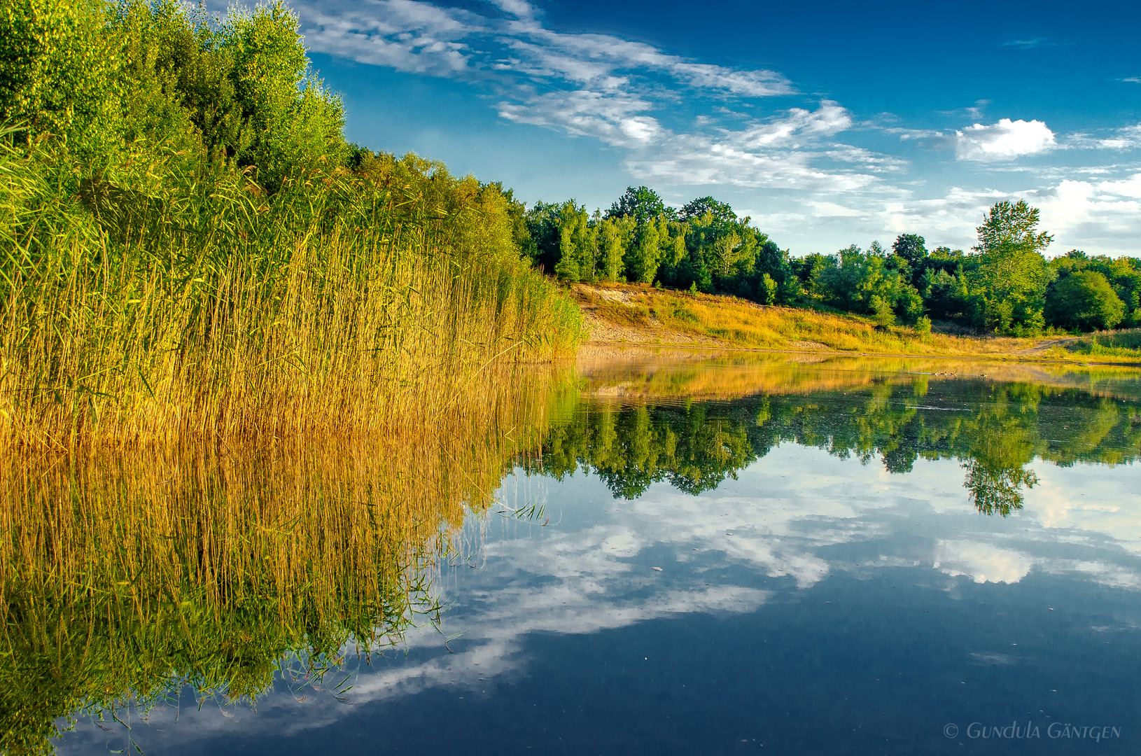 Frühmorgens am Geesthofsee