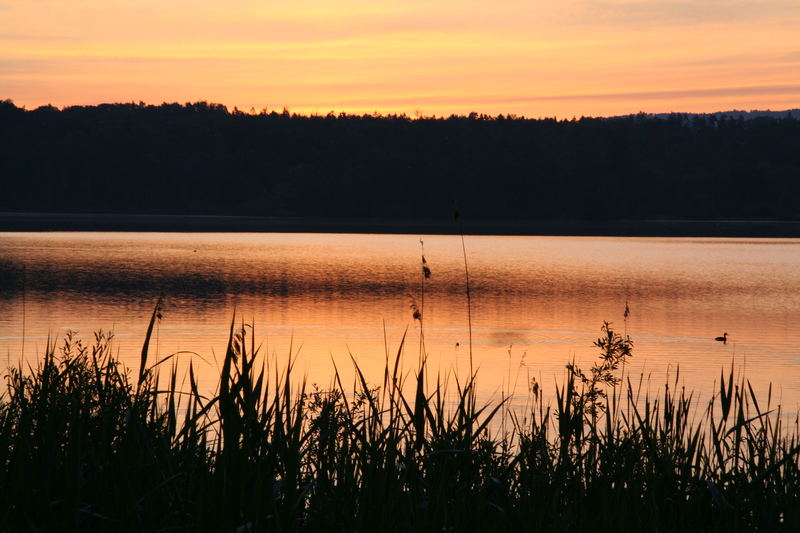 Frühmorgens am Greifensee