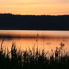 Frühmorgens am Greifensee