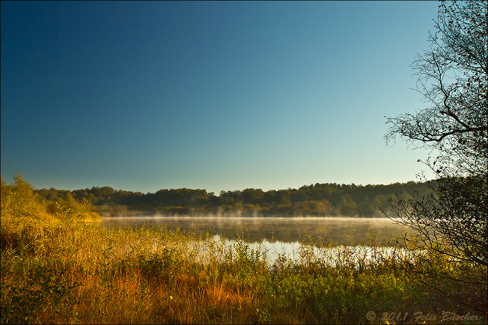 Frühmorgens am "Heiligen Meer" im nördlichen Münsterland