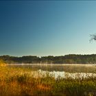 Frühmorgens am "Heiligen Meer" im nördlichen Münsterland