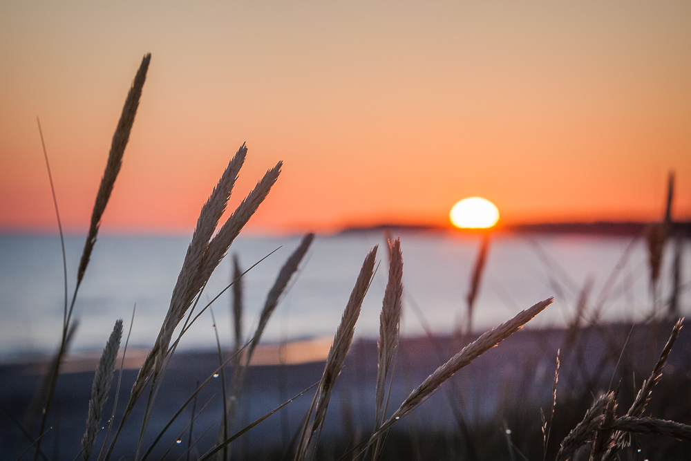 Frühmorgens am Kattegat