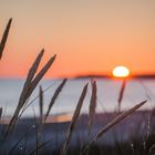 Frühmorgens am Kattegat