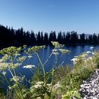 Frühmorgens am Lahngangsee