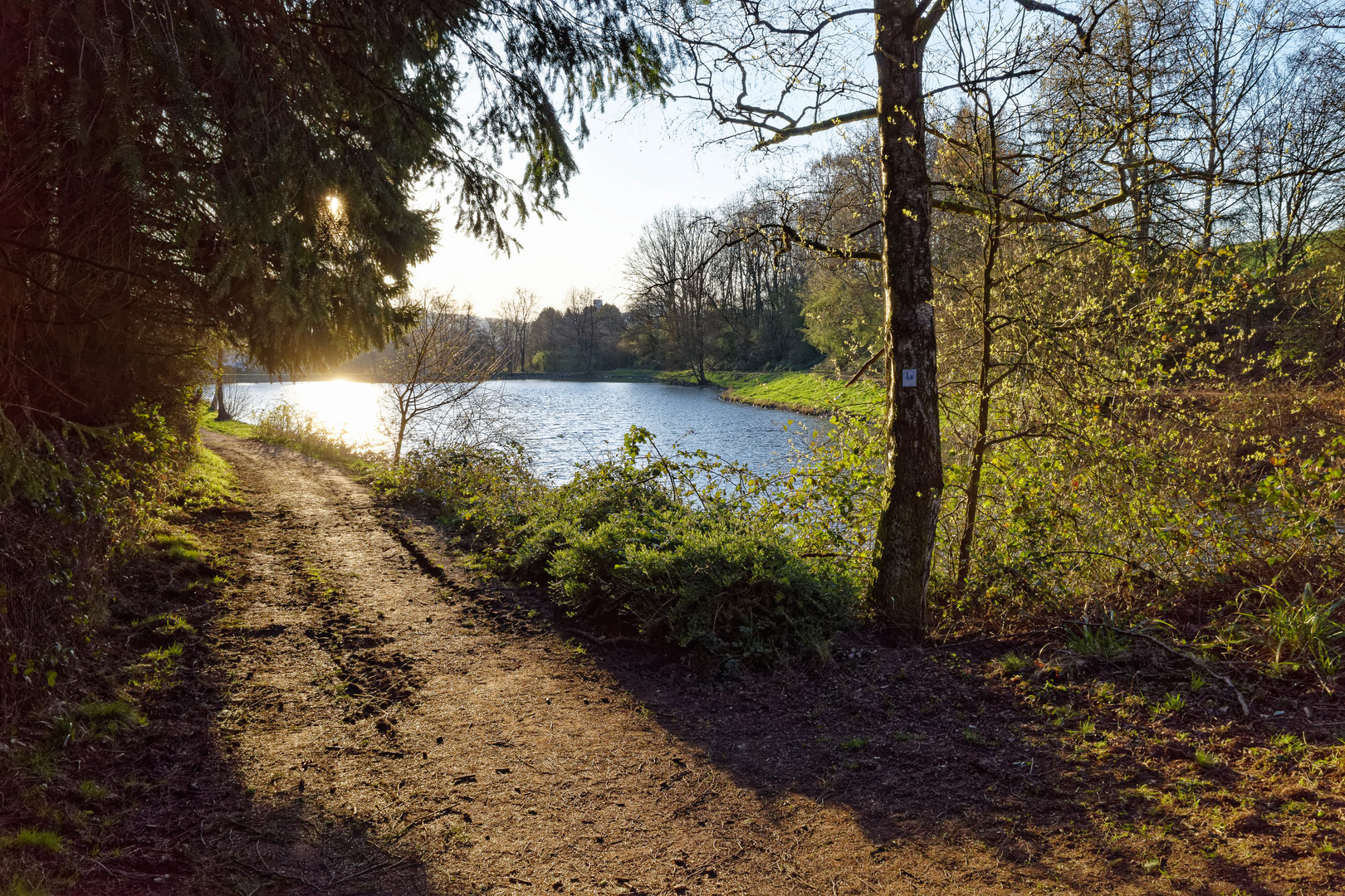 Frühmorgens am Lasbachteich