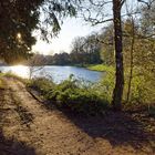 Frühmorgens am Lasbachteich