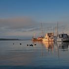 Frühmorgens am Müritzsee