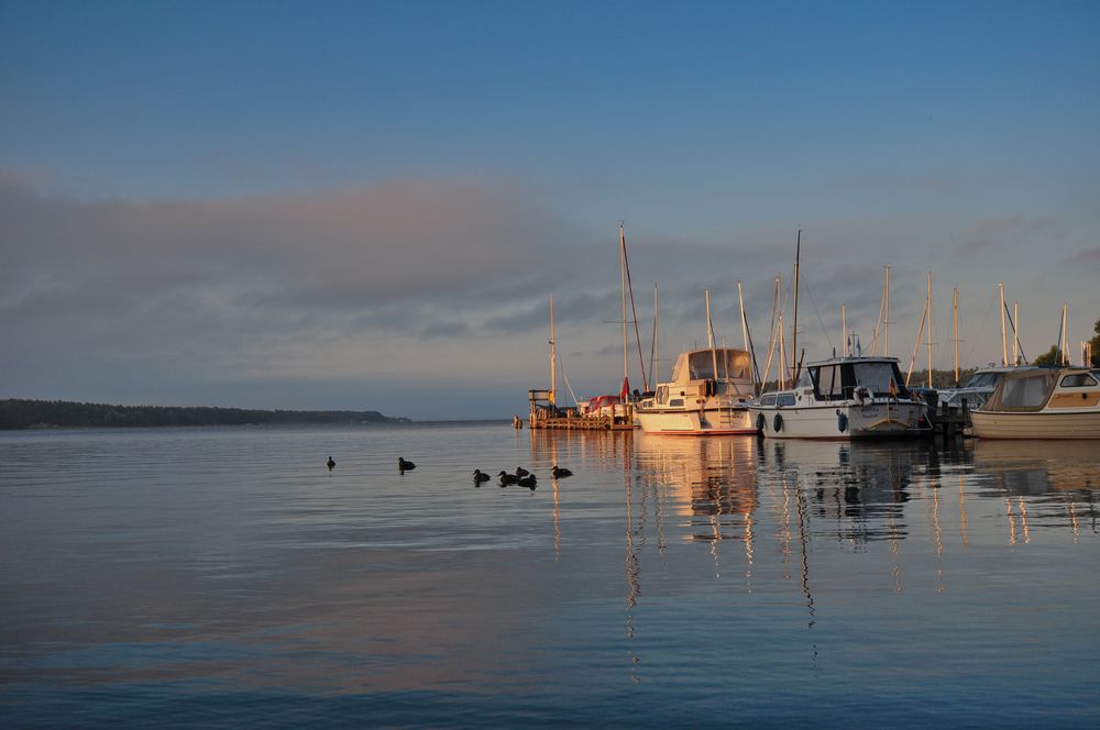 Frühmorgens am Müritzsee