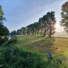 Frühmorgens am Niederrhein