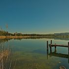 Frühmorgens am Pfäffikersee