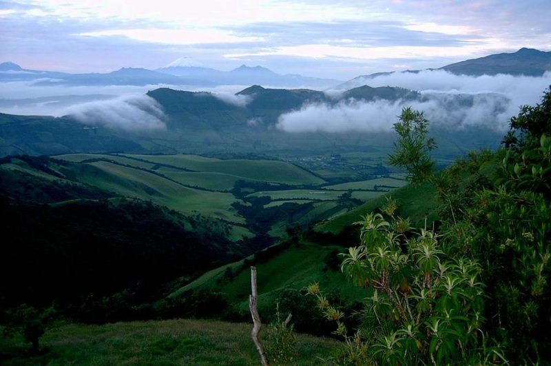 Frühmorgens am Pichincha (Ecuador)