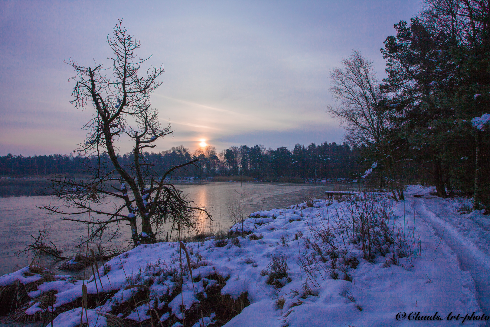 Frühmorgens am Riedsee