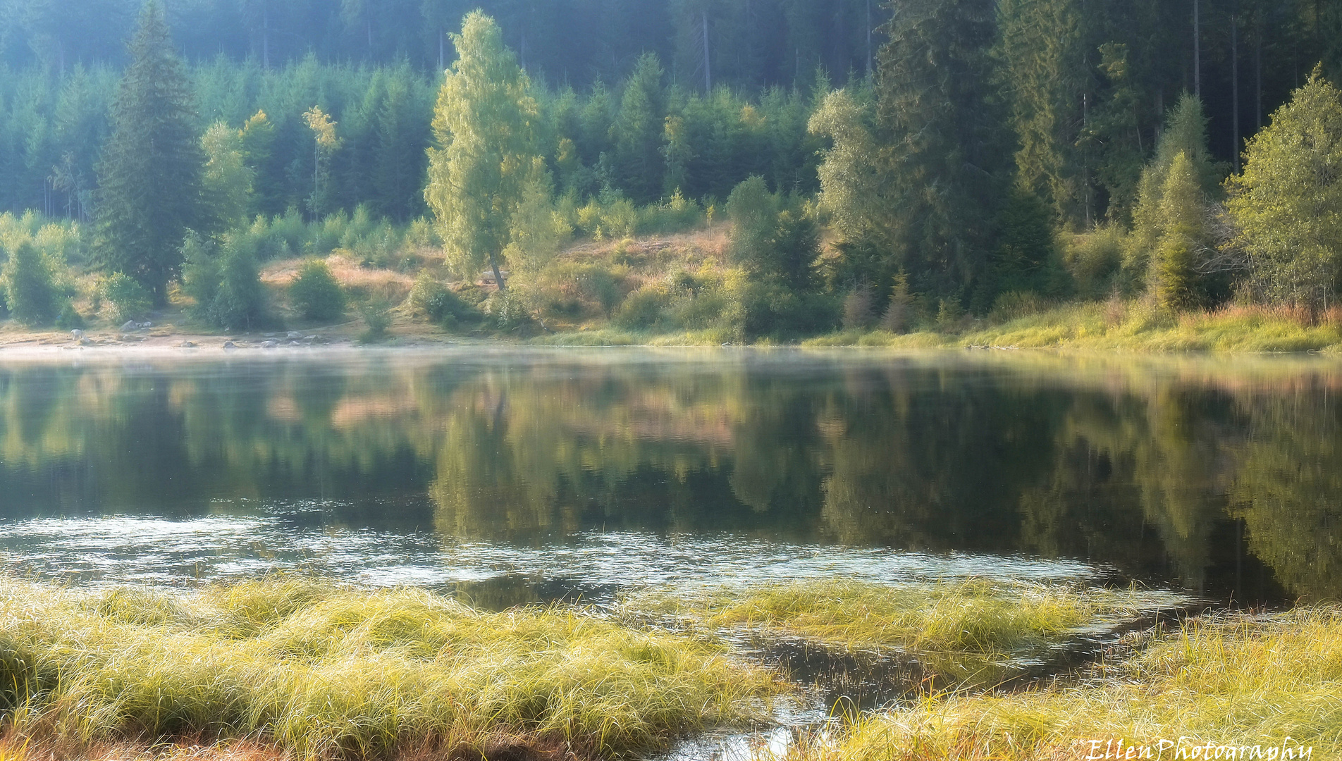 frühmorgens am Schluchsee