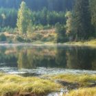 frühmorgens am Schluchsee