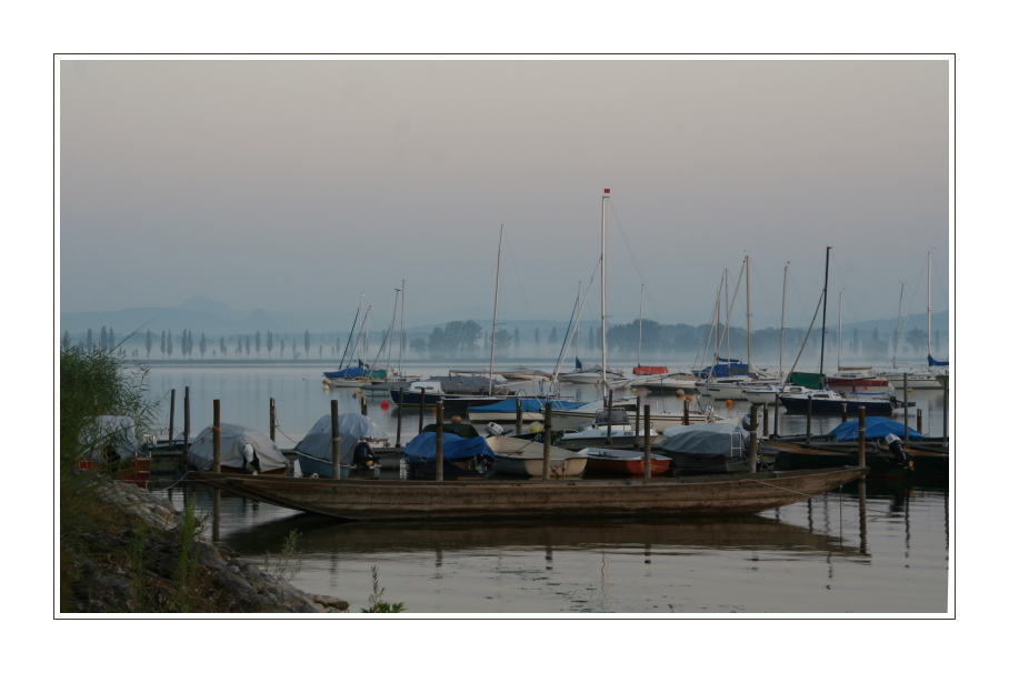 Frühmorgens am See