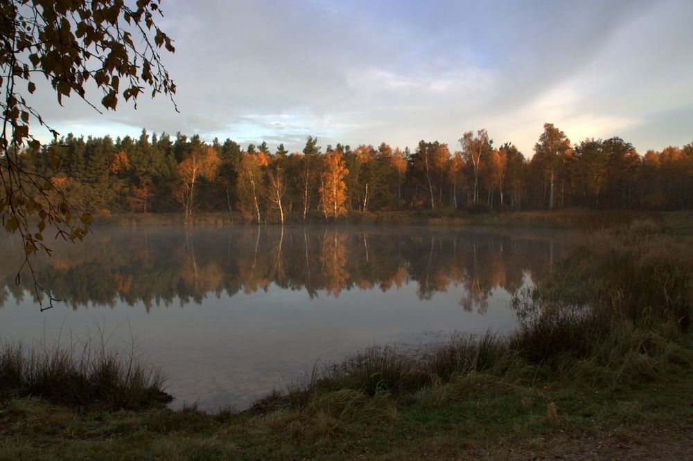 frühmorgens am See